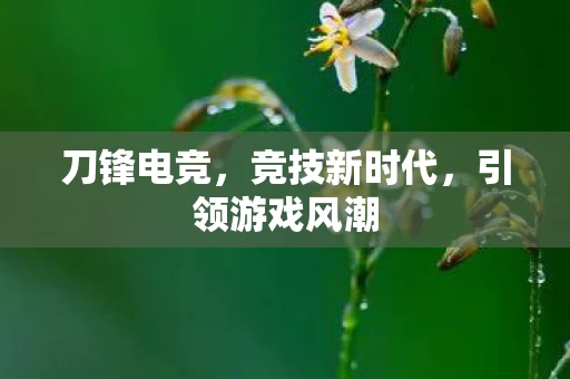 引领游戏风潮图片
