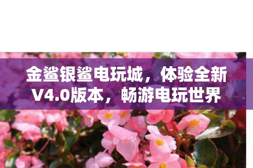 金鲨银鲨电玩城图片