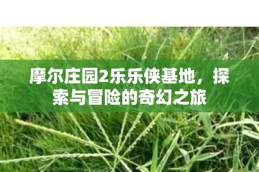 摩尔庄园2乐乐侠基地图片