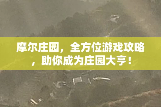 助你成为庄园大亨图片