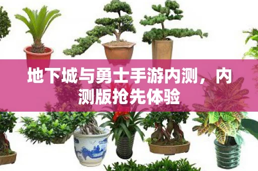 地下城与勇士手游内测,内测版抢先体验 地下城与勇士手游内测,内测版抢先体验