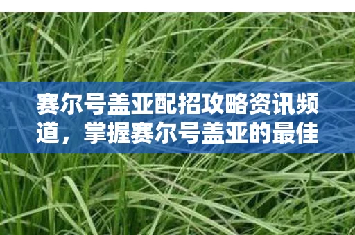赛尔号盖亚配招攻略资讯频道,掌握赛尔号盖亚的最佳配招策略 赛尔号盖亚配招攻略资讯频道,掌握赛尔号盖亚的最佳配招策略