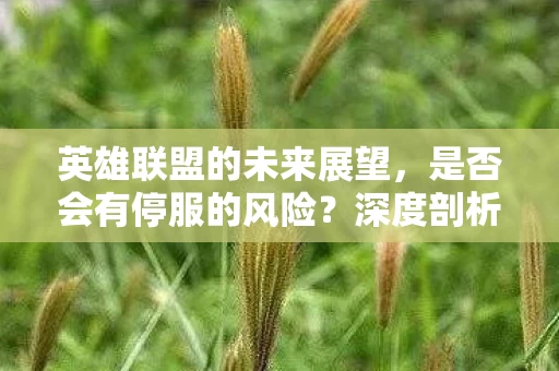 英雄联盟的未来展望图片