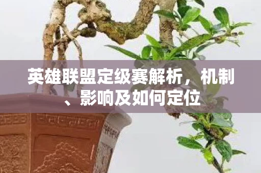 英雄联盟定级赛解析图片