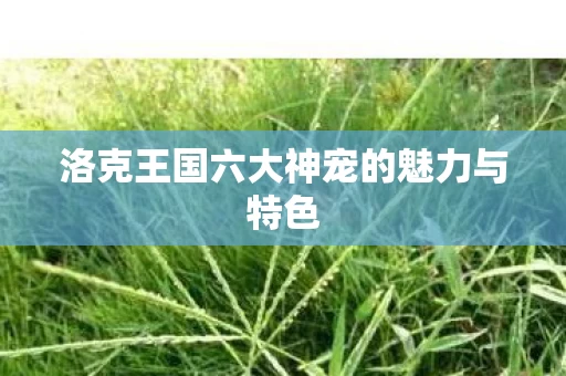 洛克王国六大神宠的魅力与特色图片