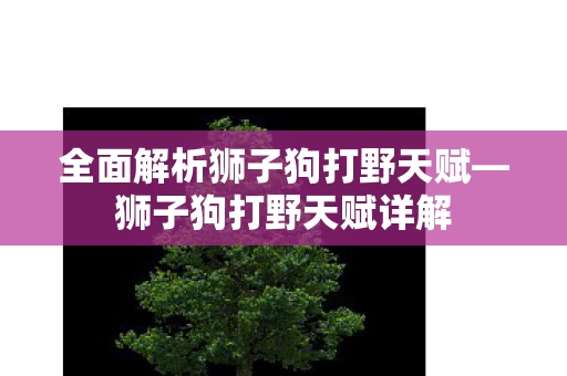 全面解析狮子狗打野天赋图片