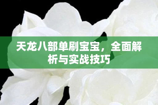 全面解析与实战技巧图片