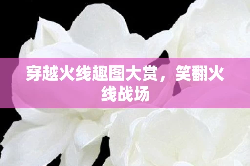 穿越火线趣图大赏图片