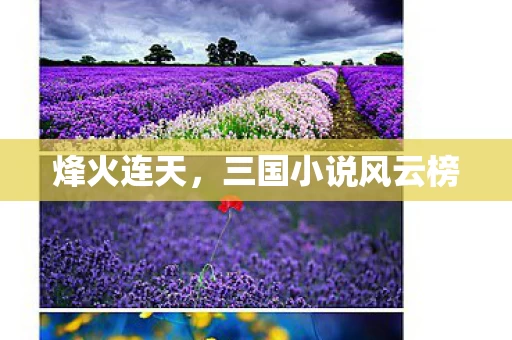 三国小说风云榜图片