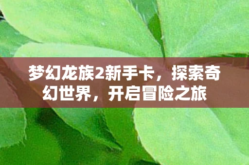 梦幻龙族2新手卡图片