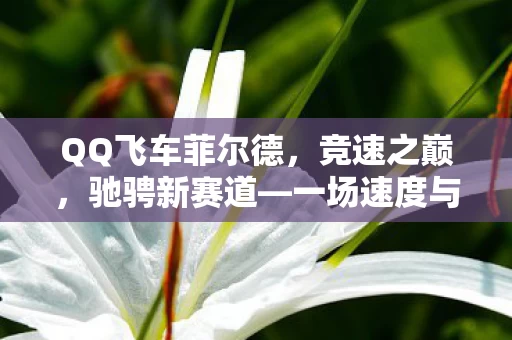一场速度与激情的盛宴图片