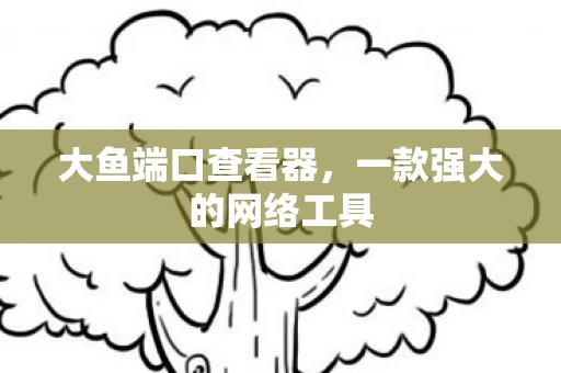 一款强大的网络工具图片