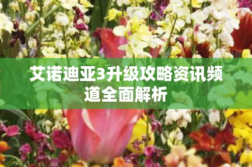 艾诺迪亚3升级攻略资讯频道全面解析图片