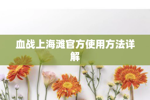 血战上海滩官方使用方法详解图片