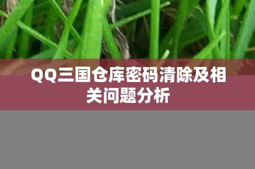 QQ三国仓库密码清除及相关问题分析图片