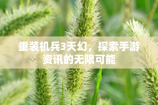重装机兵3天幻,探索手游资讯的无限可能 重装机兵3天幻,探索手游资讯的无限可能