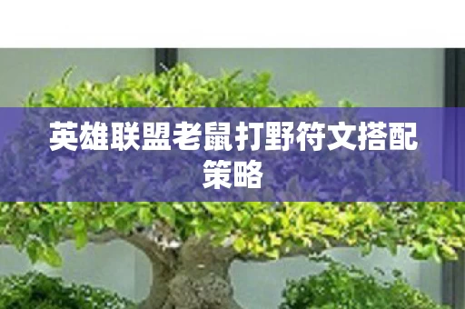 英雄联盟老鼠打野符文搭配策略