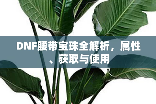 DNF腰带宝珠全解析图片