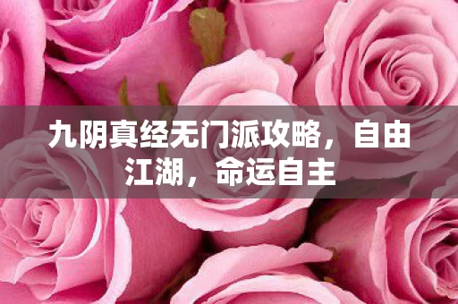 九阴真经无门派攻略图片
