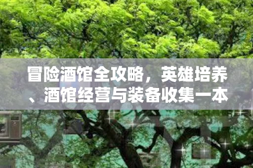 冒险酒馆全攻略，英雄培养、酒馆经营与装备收集一本通
