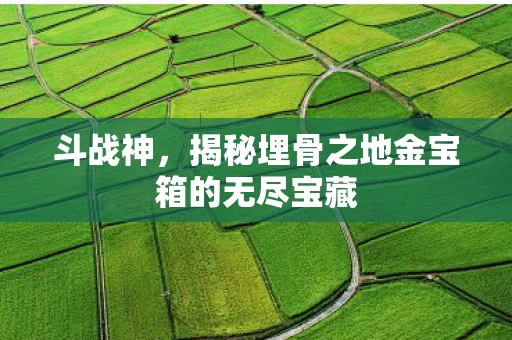 揭秘埋骨之地金宝箱的无尽宝藏图片