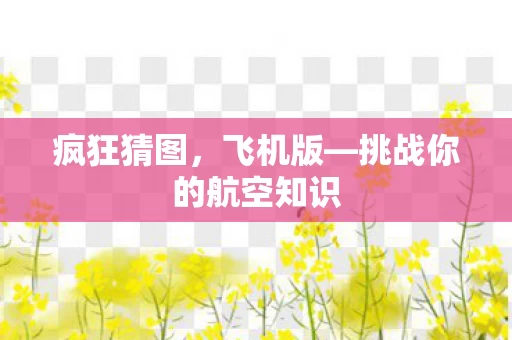 疯狂猜图，飞机版—挑战你的航空知识