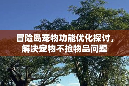 冒险岛宠物功能优化探讨，解决宠物不捡物品问题
