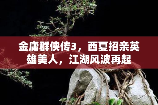 金庸群侠传3，西夏招亲英雄美人，江湖风波再起