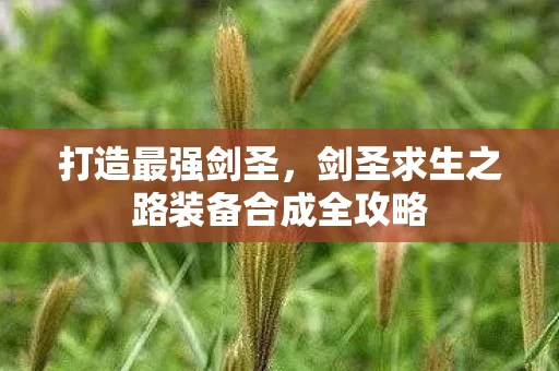 打造最强剑圣,剑圣求生之路装备合成全攻略 打造最强剑圣,剑圣求生之路装备合成全攻略