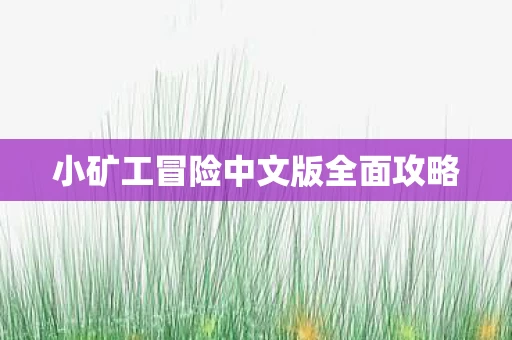 小矿工冒险中文版全面攻略图片