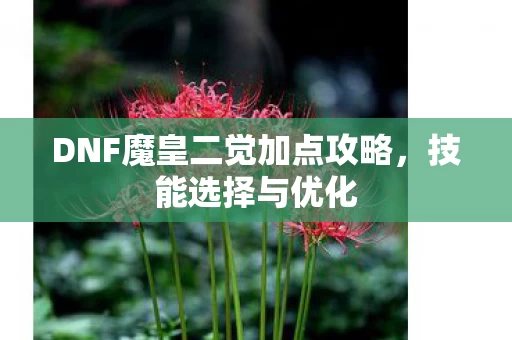 DNF魔皇二觉加点攻略图片