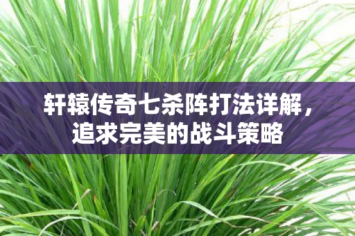 轩辕传奇七杀阵打法详解图片