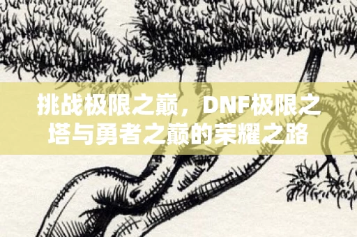 DNF极限之塔与勇者之巅的荣耀之路图片