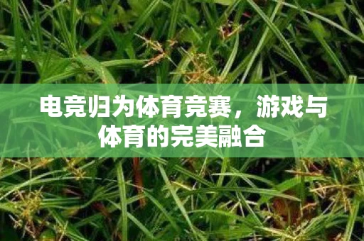 游戏与体育的完美融合图片