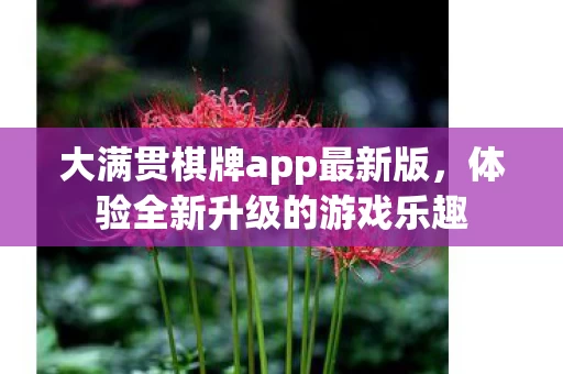 大满贯棋牌app最新版图片