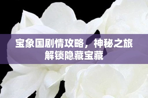 神秘之旅解锁隐藏宝藏图片