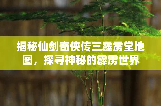 揭秘仙剑奇侠传三霹雳堂地图图片
