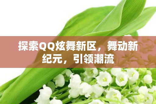探索QQ炫舞新区图片