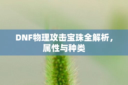 DNF物理攻击宝珠全解析图片