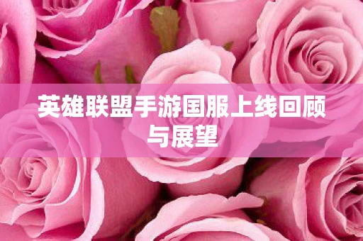 英雄联盟手游国服上线回顾与展望图片
