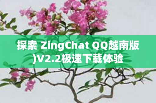 探索 ZingChat QQ越南版图片