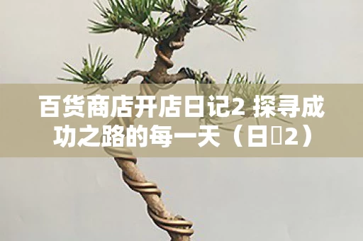 百货商店开店日记2 探寻成功之路的每一天图片