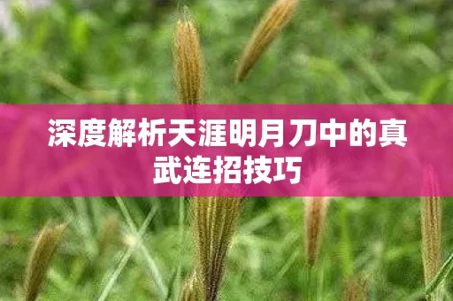 深度解析天涯明月刀中的真武连招技巧图片