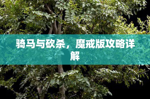 魔戒版攻略详解图片