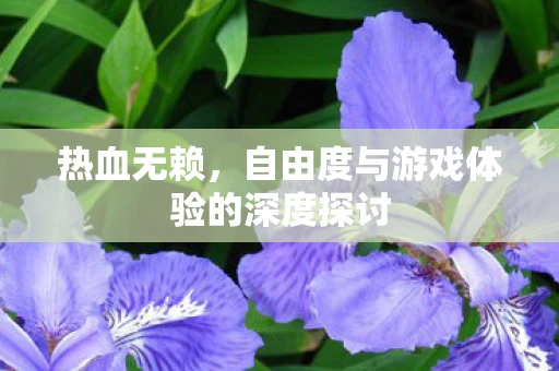 自由度与游戏体验的深度探讨图片