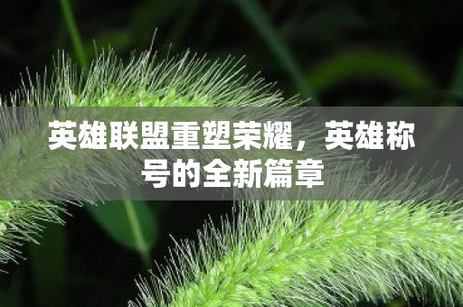 英雄称号的全新篇章图片