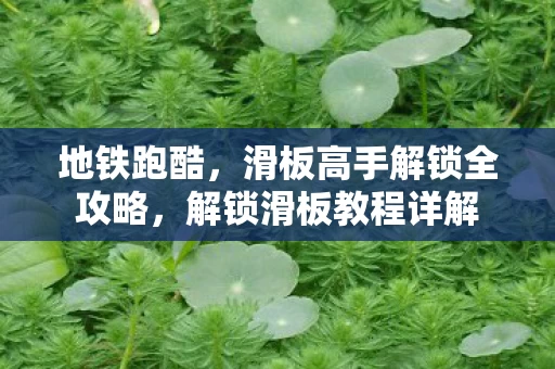滑板高手解锁全攻略图片