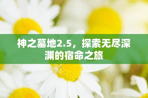 探索无尽深渊的宿命之旅图片