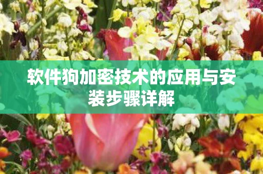 软件狗加密技术的应用与安装步骤详解图片