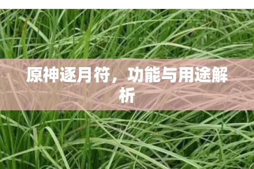 功能与用途解析图片